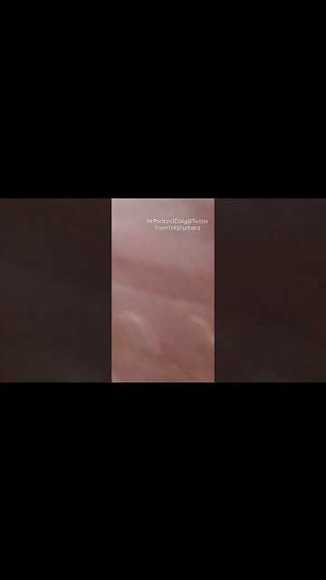 Mr Portland Video is From THIS Portland Media Hype