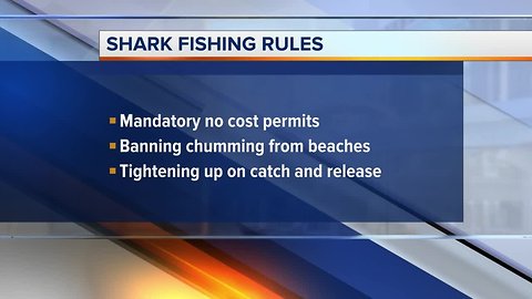 FWC outlines modifications to Florida's shark regulations