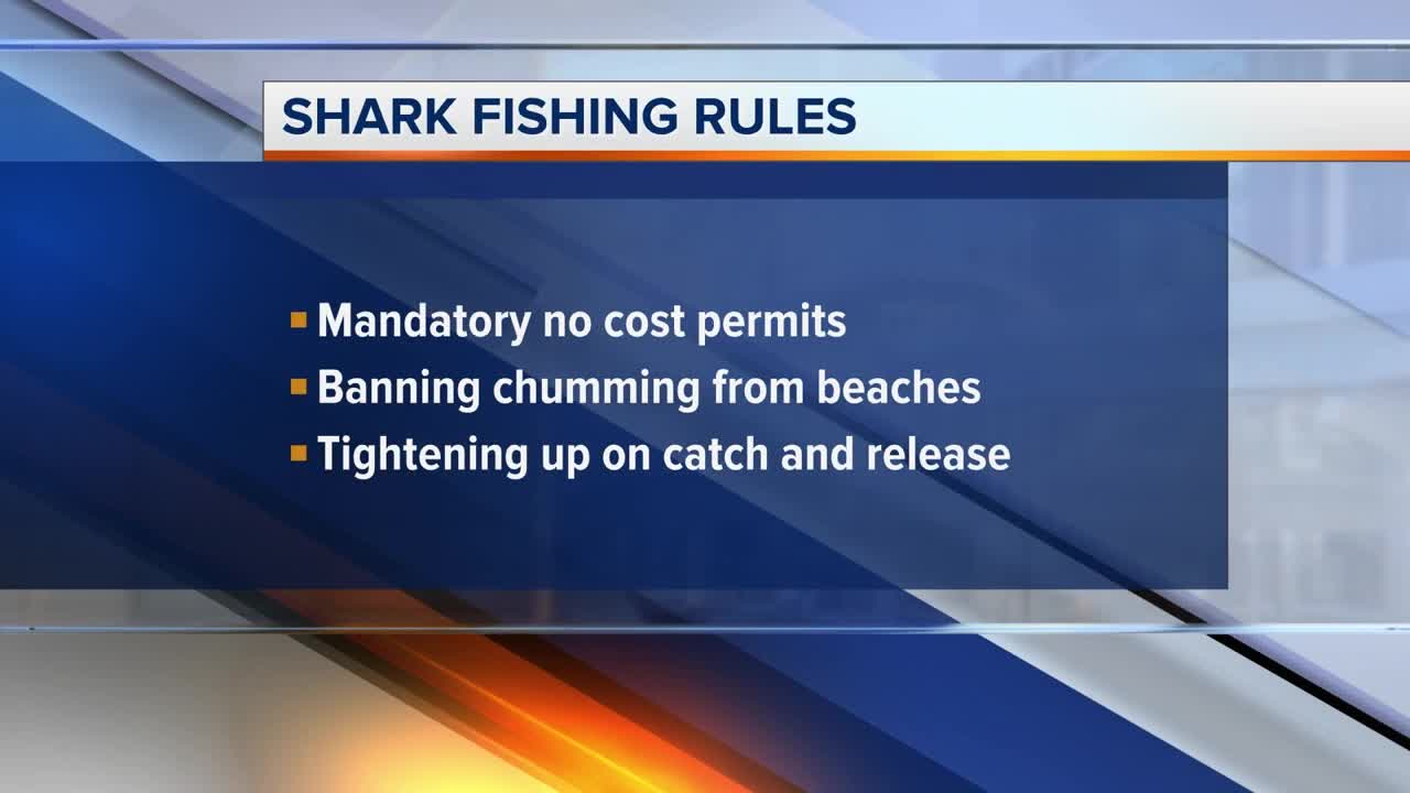 FWC outlines modifications to Florida's shark regulations