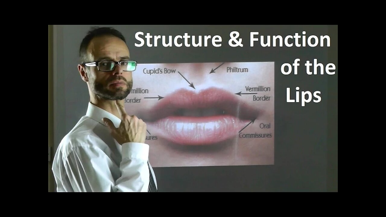 Role of the Structure & Shape of Upper & Lower Lips in Facial Attractiveness & Beauty by Dr Mike Mew