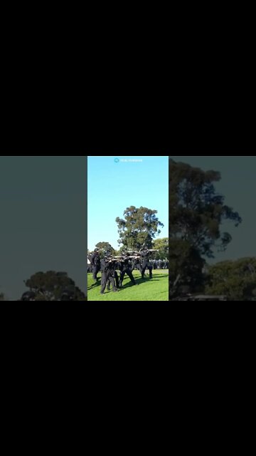 1 year ago today militarised members of Victoria Police shot unarmed Australians at the Shrine