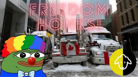Freedom Convoy Debate! PrimeCayes