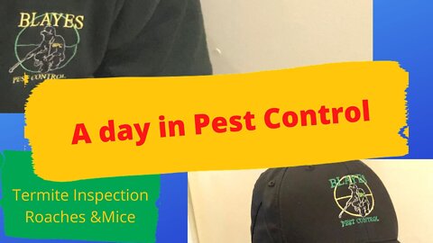 A Day in Pest Control - Termites Inspection, Roaches and Mice Jan 3rd
