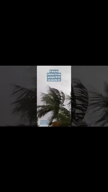 Temporal em Santa Catarina, arquivo pessoal, força da natureza. #natureza #temporal