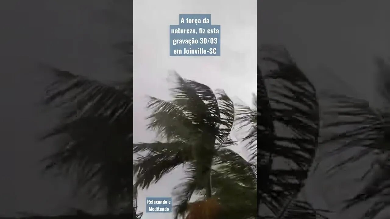 Temporal em Santa Catarina, arquivo pessoal, força da natureza. #natureza #temporal