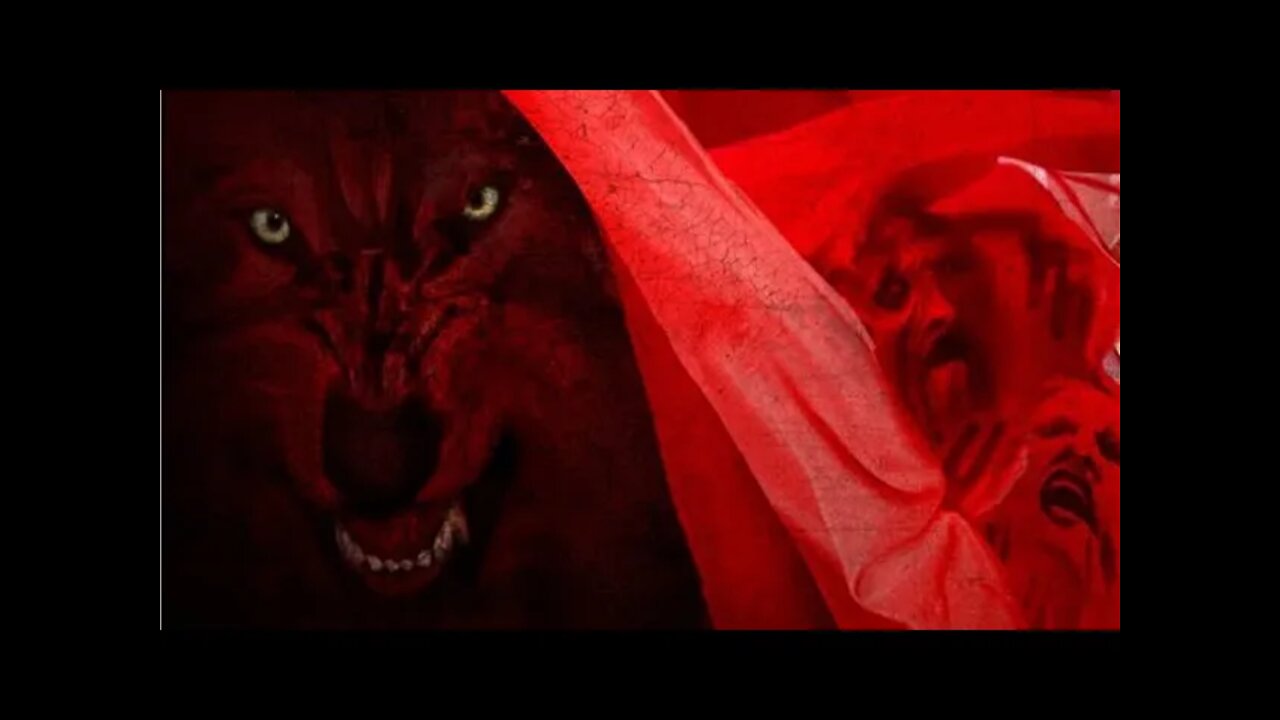 RED RIDING HOOD TELLS ALL!!! TRUE STORY!!!!!!