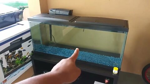 Catching NEW Exotic Pet Fish for AQUARIUM!51 3