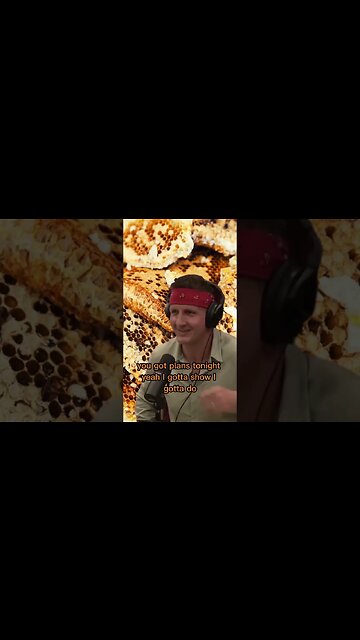 Joe Rogan tasting the Mad Honey with Sonny