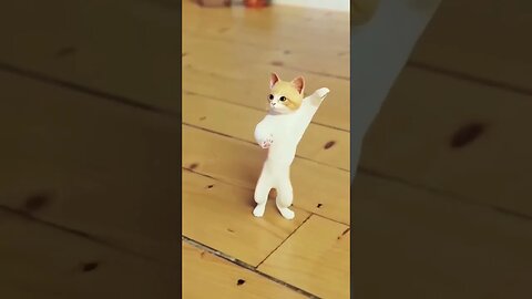 Cat Dance video #pet #funnyvideo #petvideos