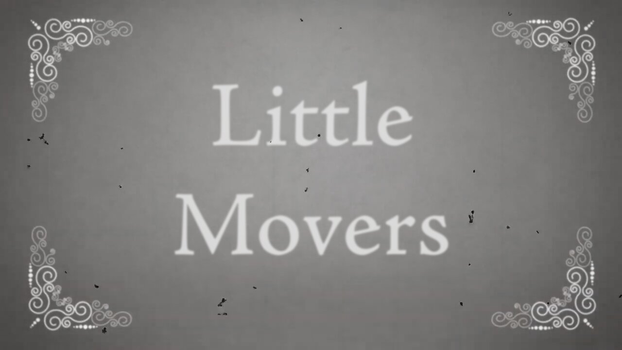 LITTLE MOVERS