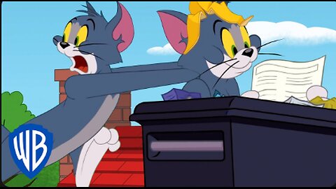 Tom and Jerry cartoon news today News 562024