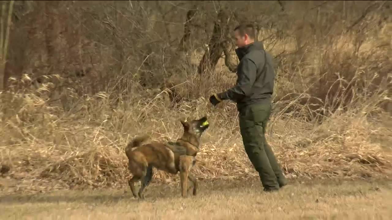 Meet Raven, a K9 that could help solve missing persons cases