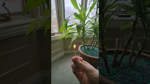 This is not pyrokinesis