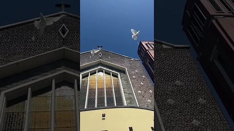 Beautiful couple and dove flying