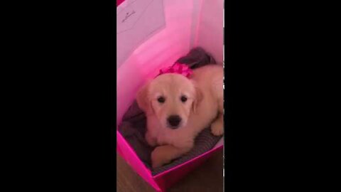 SURPRISE!!!!!!!!!