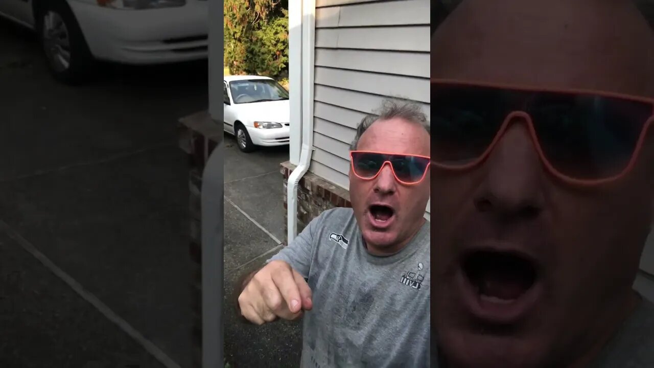 I set the fly free to fly free.