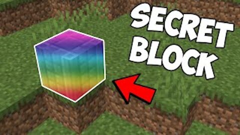 MINECRAFT 2021 - "The Rarest Block in Minecraft... #shorts"