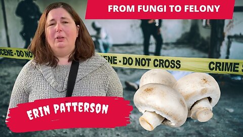 Crochet and crime - Erin Patterson, the mushroom chef previous conviction