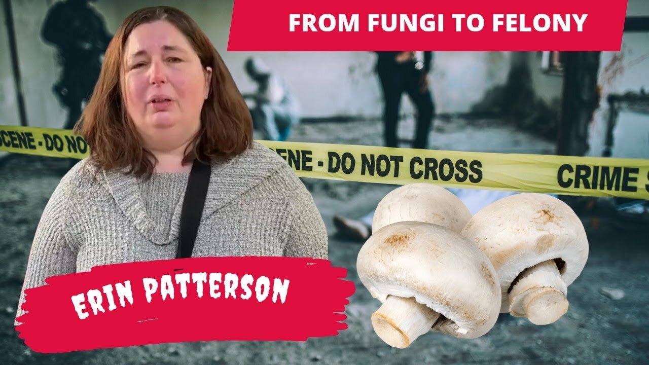Crochet and crime - Erin Patterson, the mushroom chef previous conviction
