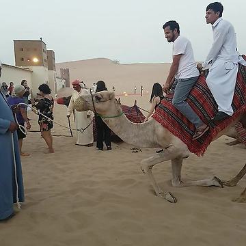 RIDING CAMELS AT THE GREAT DESERTS | DUBAI