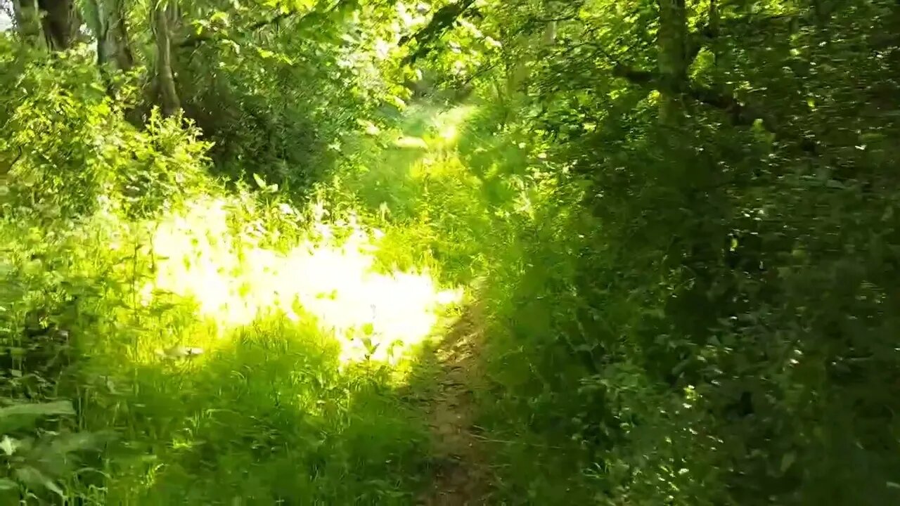 I Had a Problem at Hollowell Resevoir, This is what Happened .....