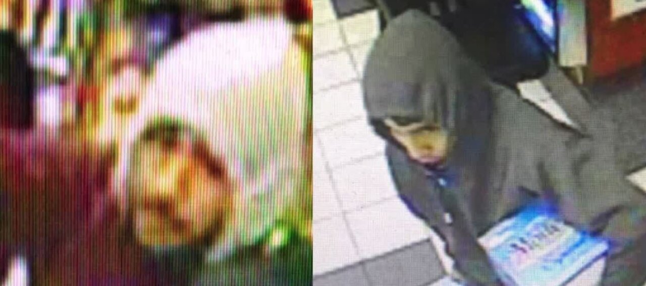 Robbery near Lamb and Alexander