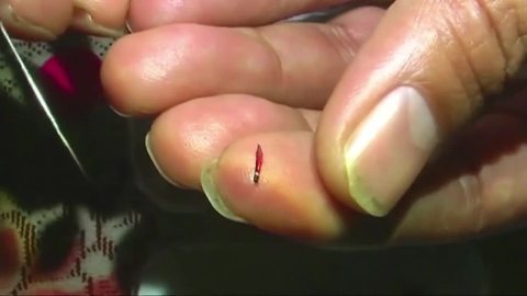 Man in India says he has made the world's smallest pencil