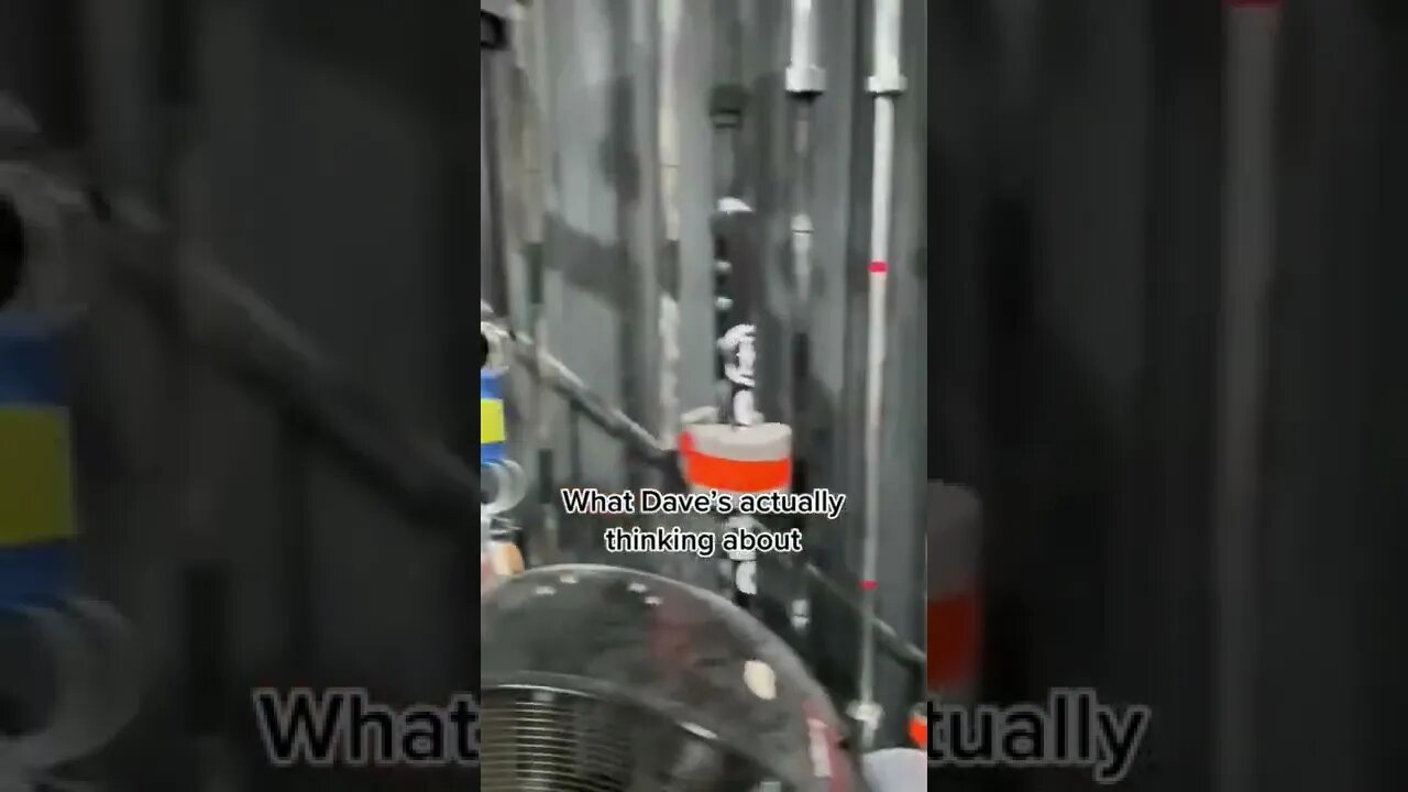 He Will Never Have Enough Bars