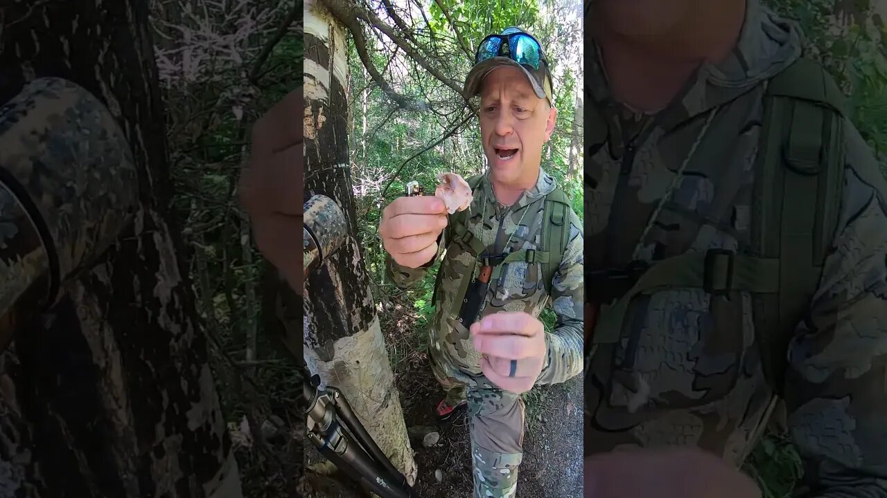 Alaskan Tinder Magic | TJack Survival
