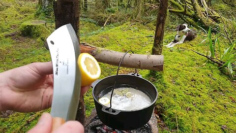 ASMR LEMON CHICKEN BUSHCRAFT