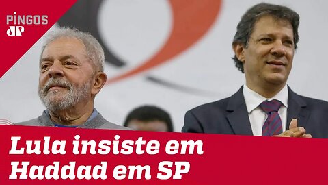 Com medo de vexame, Lula insiste em Haddad em SP