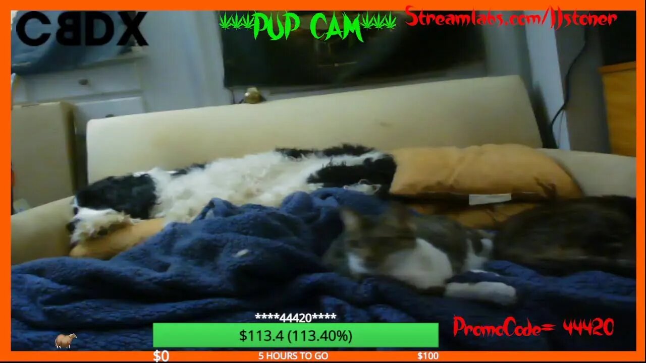 Last Friday 12-30-22