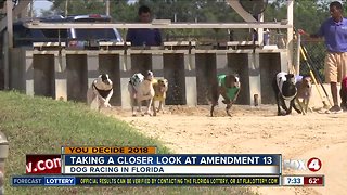 Preview: Taking a closer look at Amendment 13