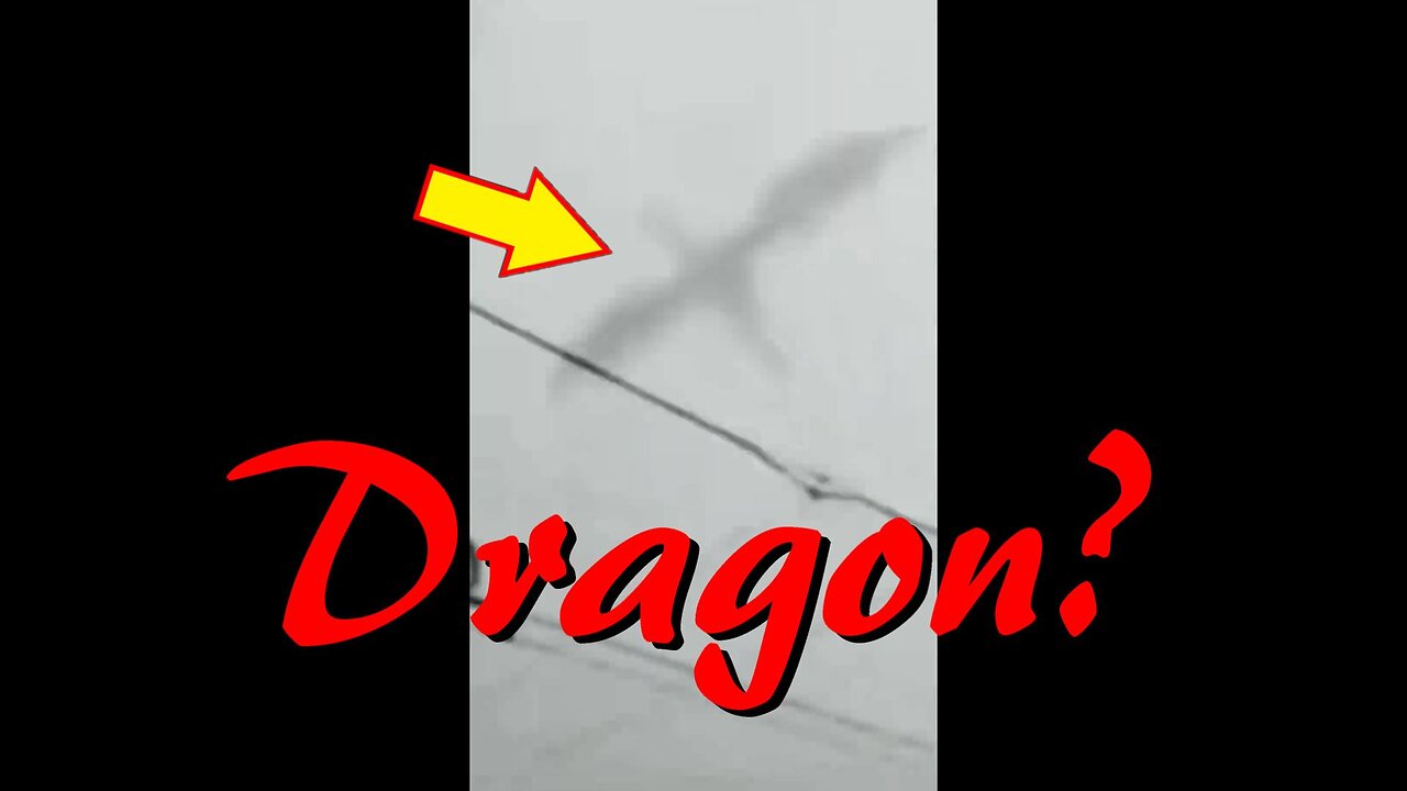 Dragon Caught On Camera! OR Something Else?