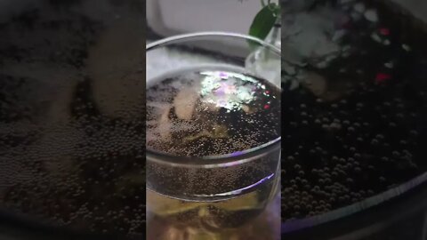 slow motion Rosé bubbles