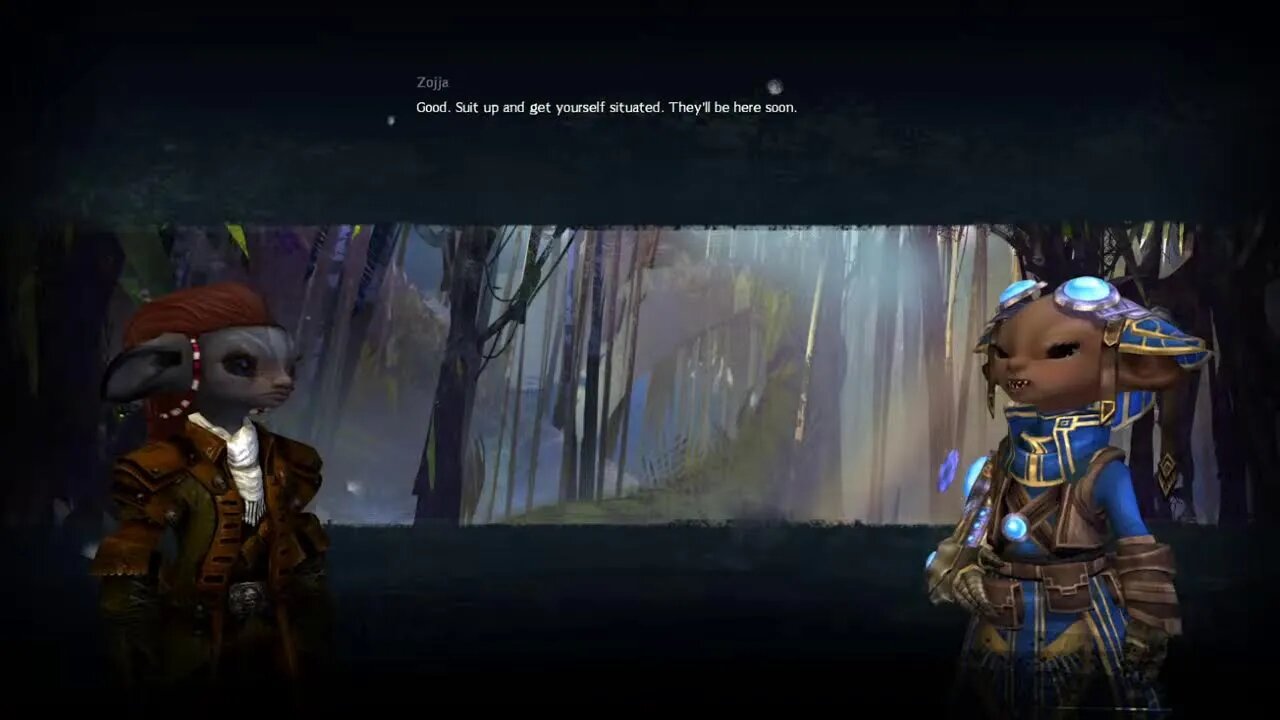 Guild Wars 2 with my wife and Mr. Nobody!