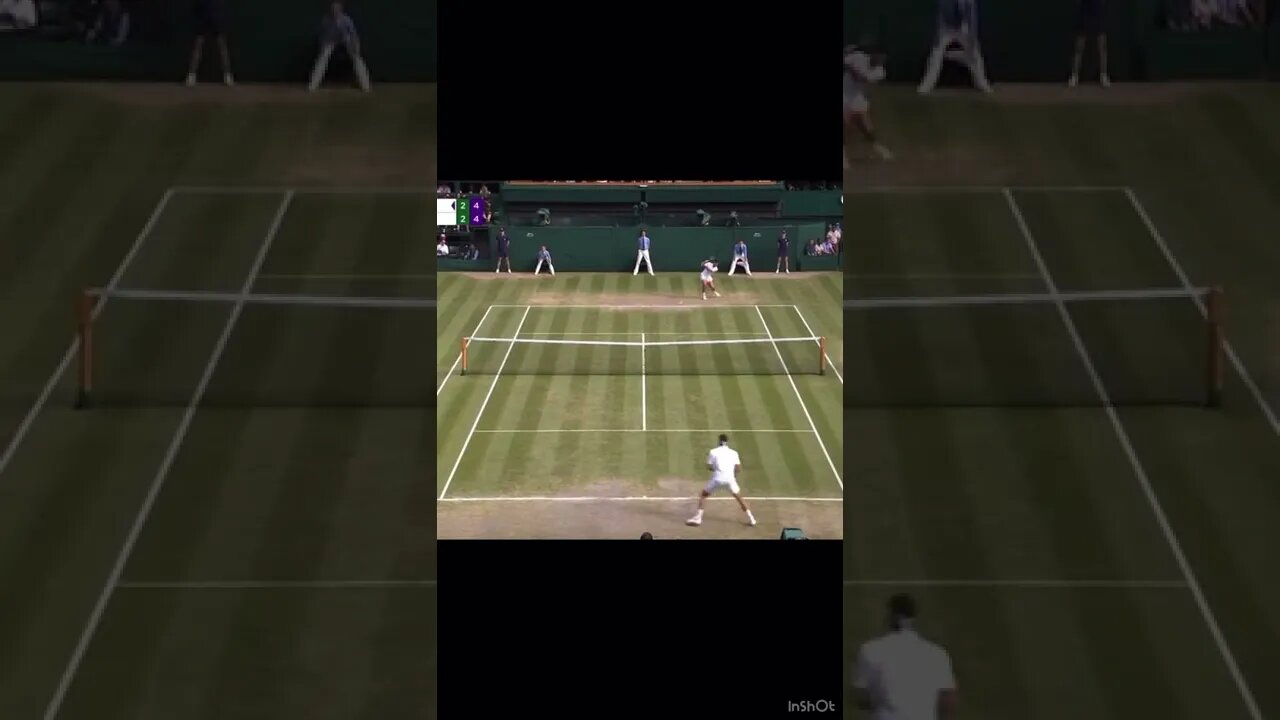 Roger Federer CRAZY Shot vs Djokovic at Wimbledon!! 🤯 #tennis #shorts