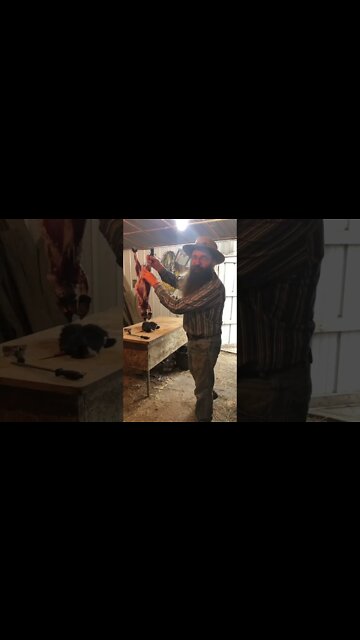 Skunk glands as a special gift??? #shorts