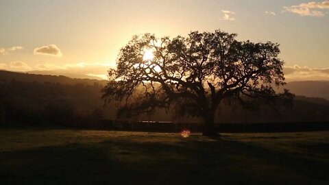 Sunset at Montgomery Hill Park on New Years Eve, with Relaxation and Meditation Music.