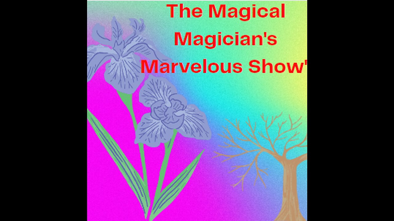 The Magical magicians marvelous