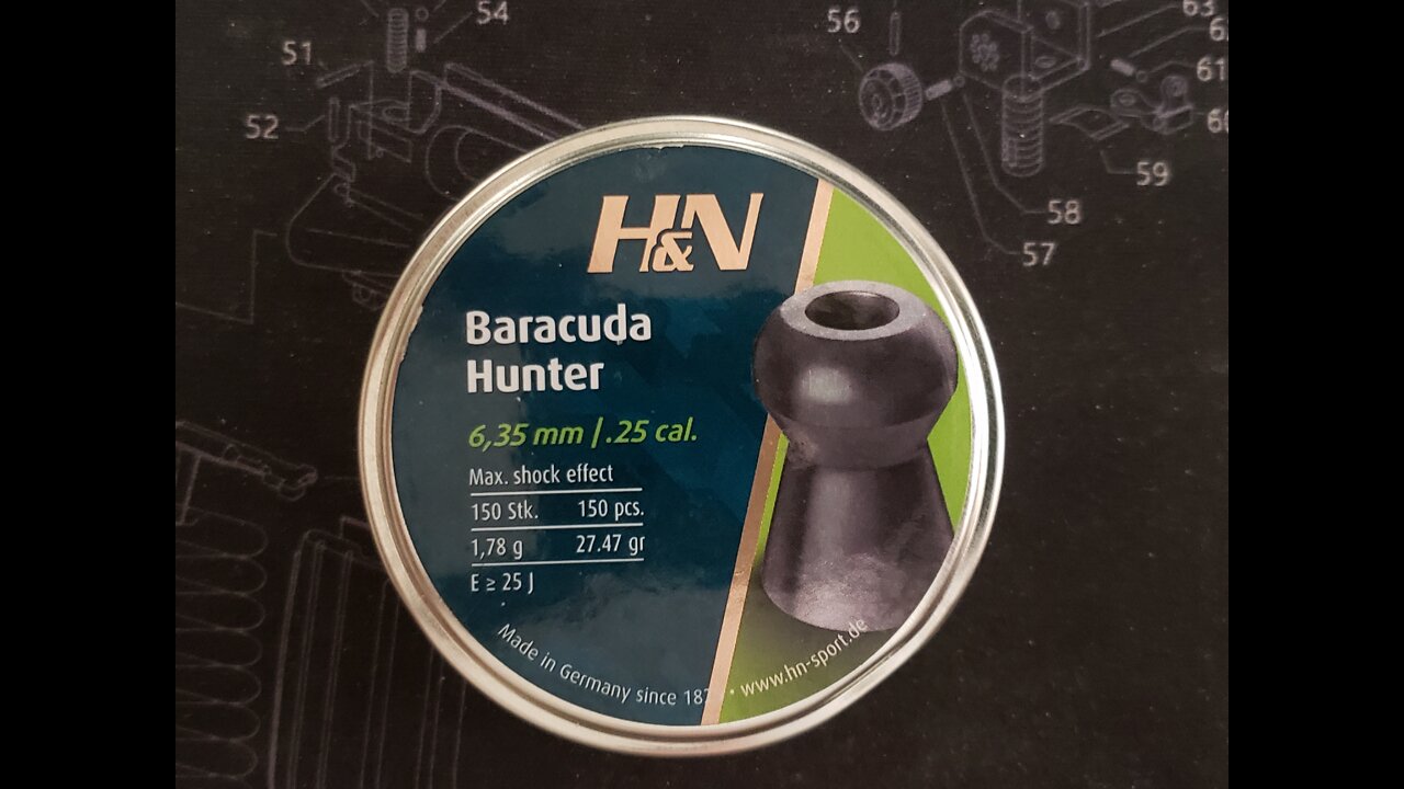 H&N Baracuda Hunter 25 cal 27.47 grain pellets in a Hatsan Flashpup