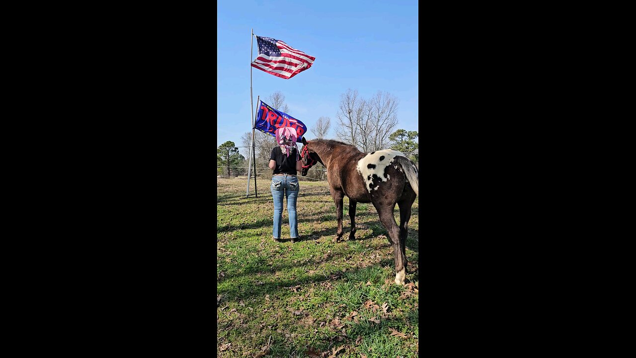 🦅Pledge of Allegiance🦅