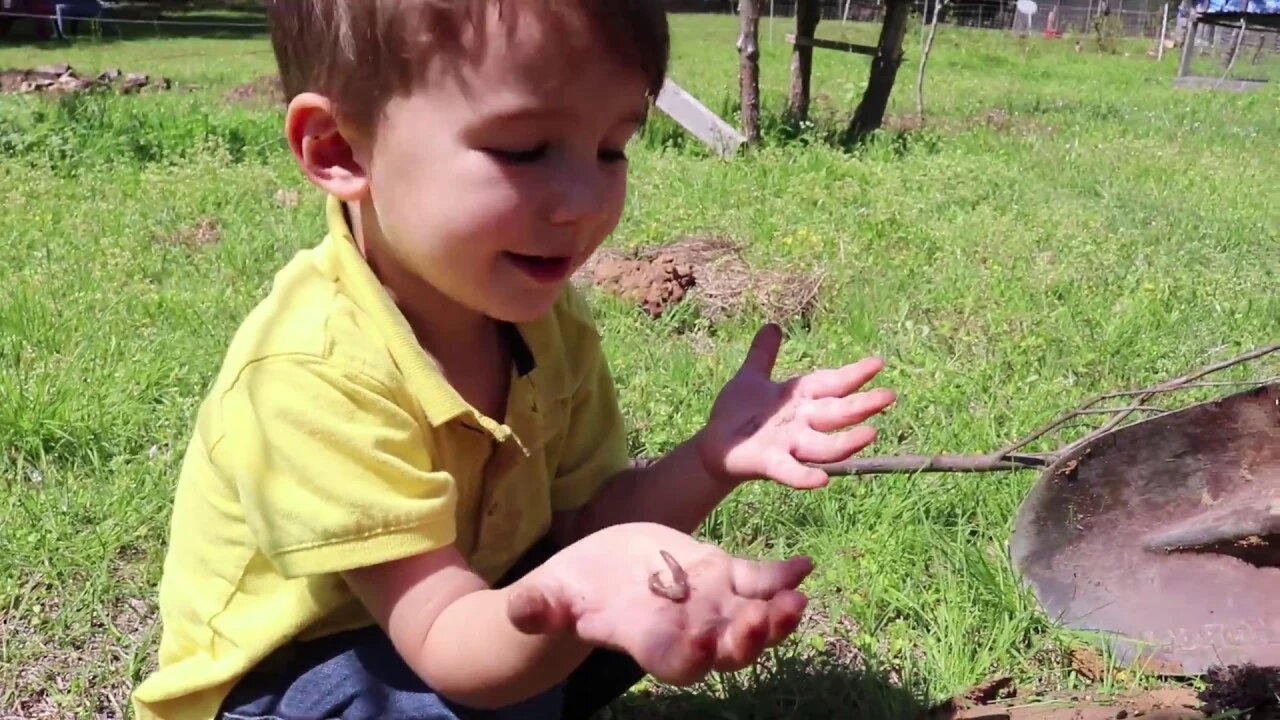 Adding to the Food 401k// Rabbits in the Food Forest