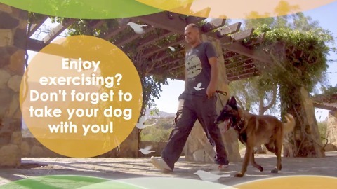 Exercises you can do with your pet