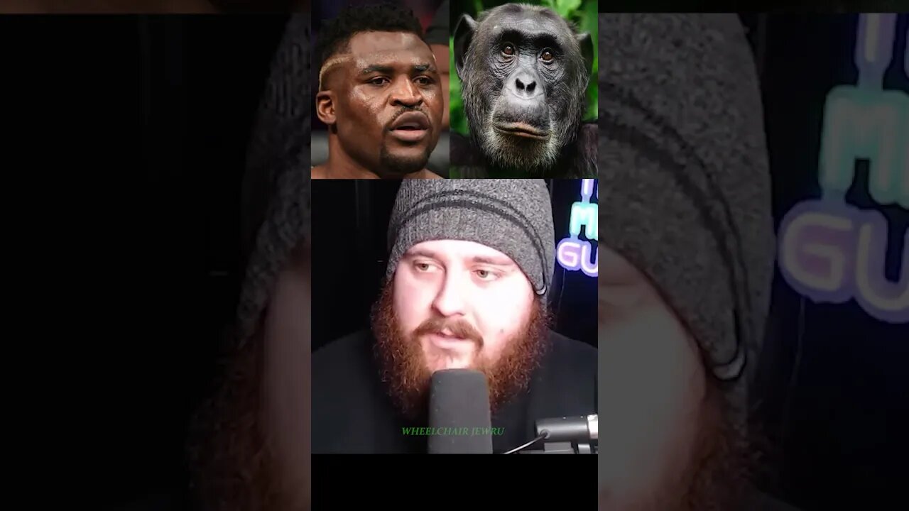 Francis Ngannou in medieval armour vs angry male chimpanzee - MMA Guru Predicts