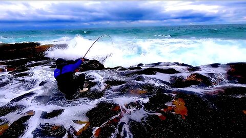 WENT OUT TO SEE IF THE SUMMER FISH HAS ARRIVED! WAITED THE WHOLE DAY FOR ONE BITE ONLY TO LOSE IT!