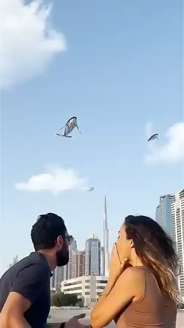 Flying Whales