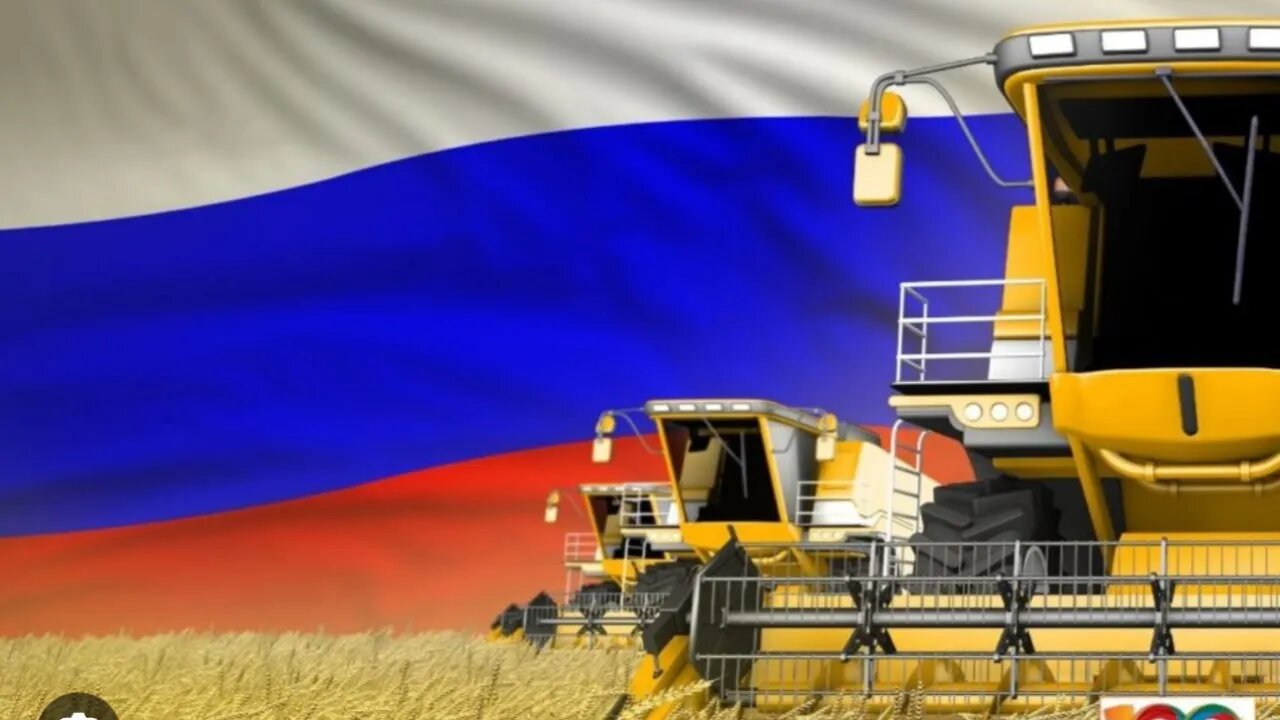 The Arena Abroad Putin’s Grain deal