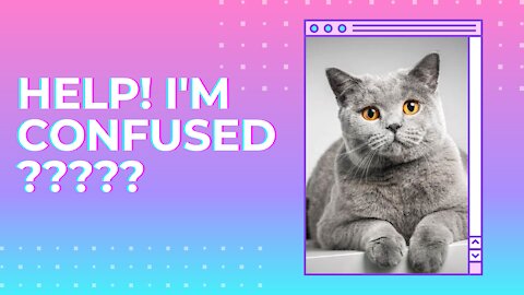 Short - Cute Cat Confused with Water