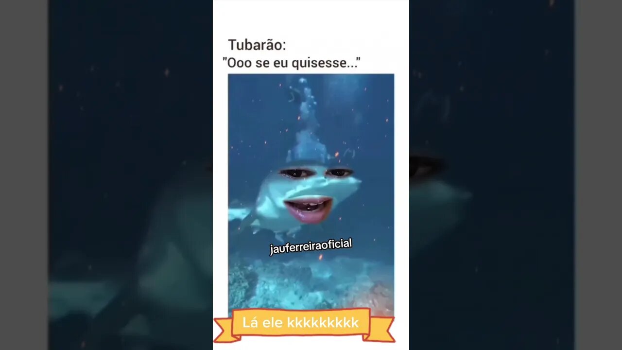 Não parei de rir até agora